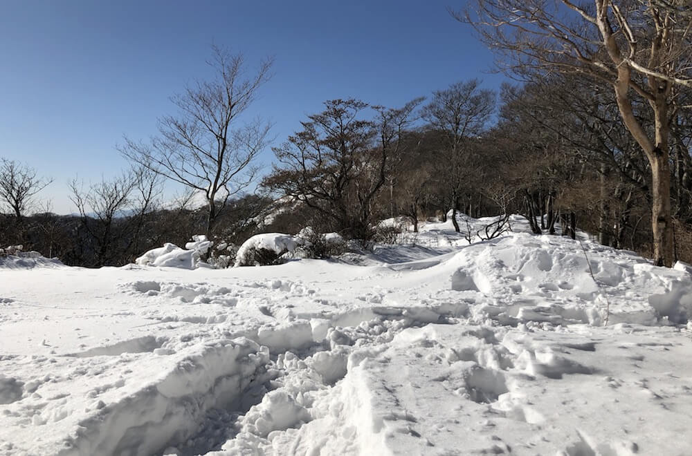 下山1.JPG 下山1