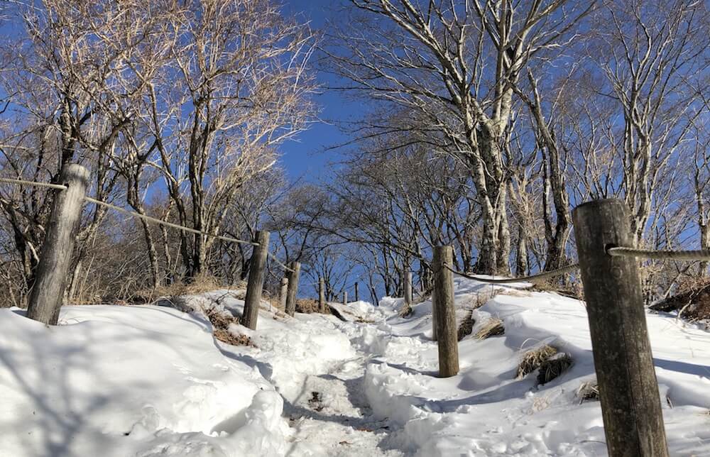 完全雪景色.JPG 完全雪景色