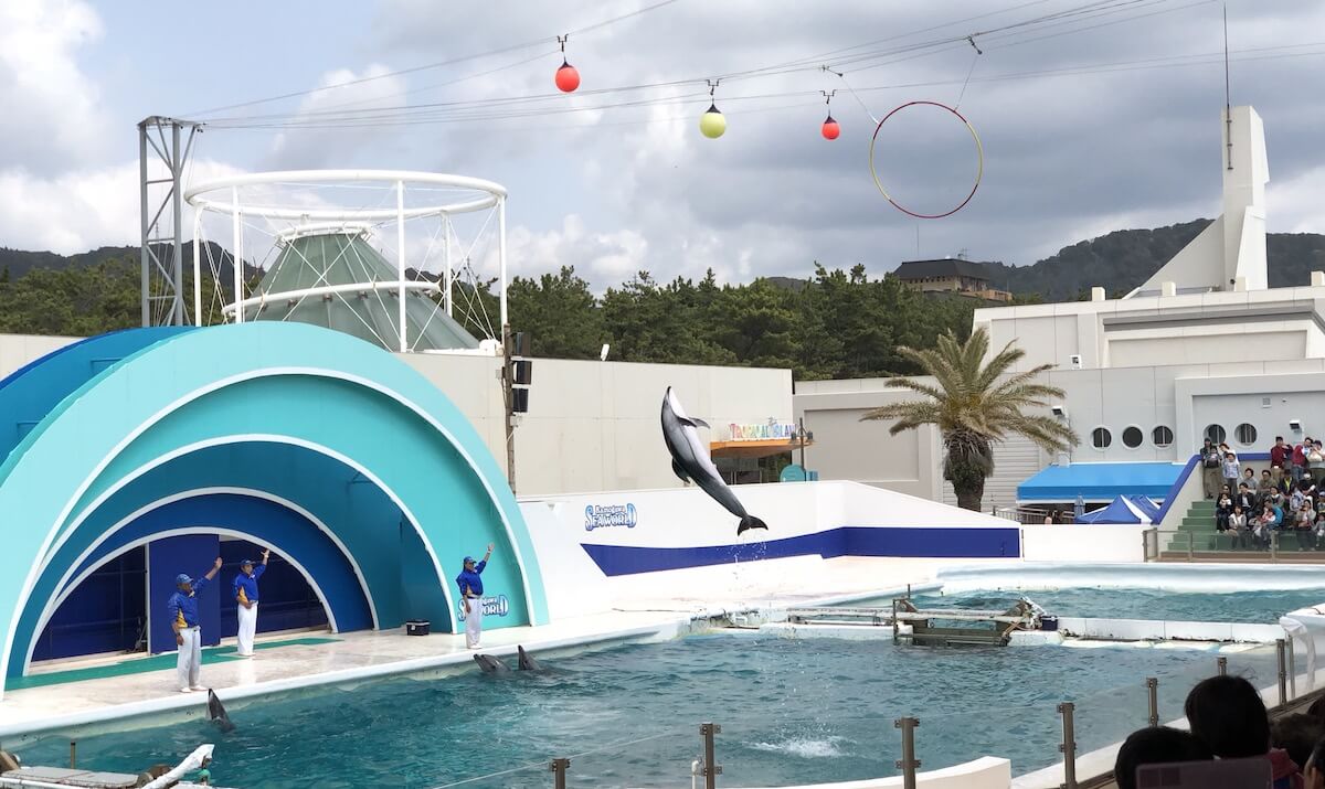 鴨川シーワールド イルカのショー.JPG 鴨川シーワールド イルカのショー